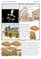 /album/illustrazioni/pagina-9-jpg/